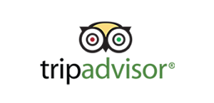 tripadvisor - award of excellence 2021 - bardo hotel, tulum 